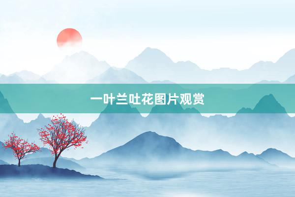 一叶兰吐花图片观赏